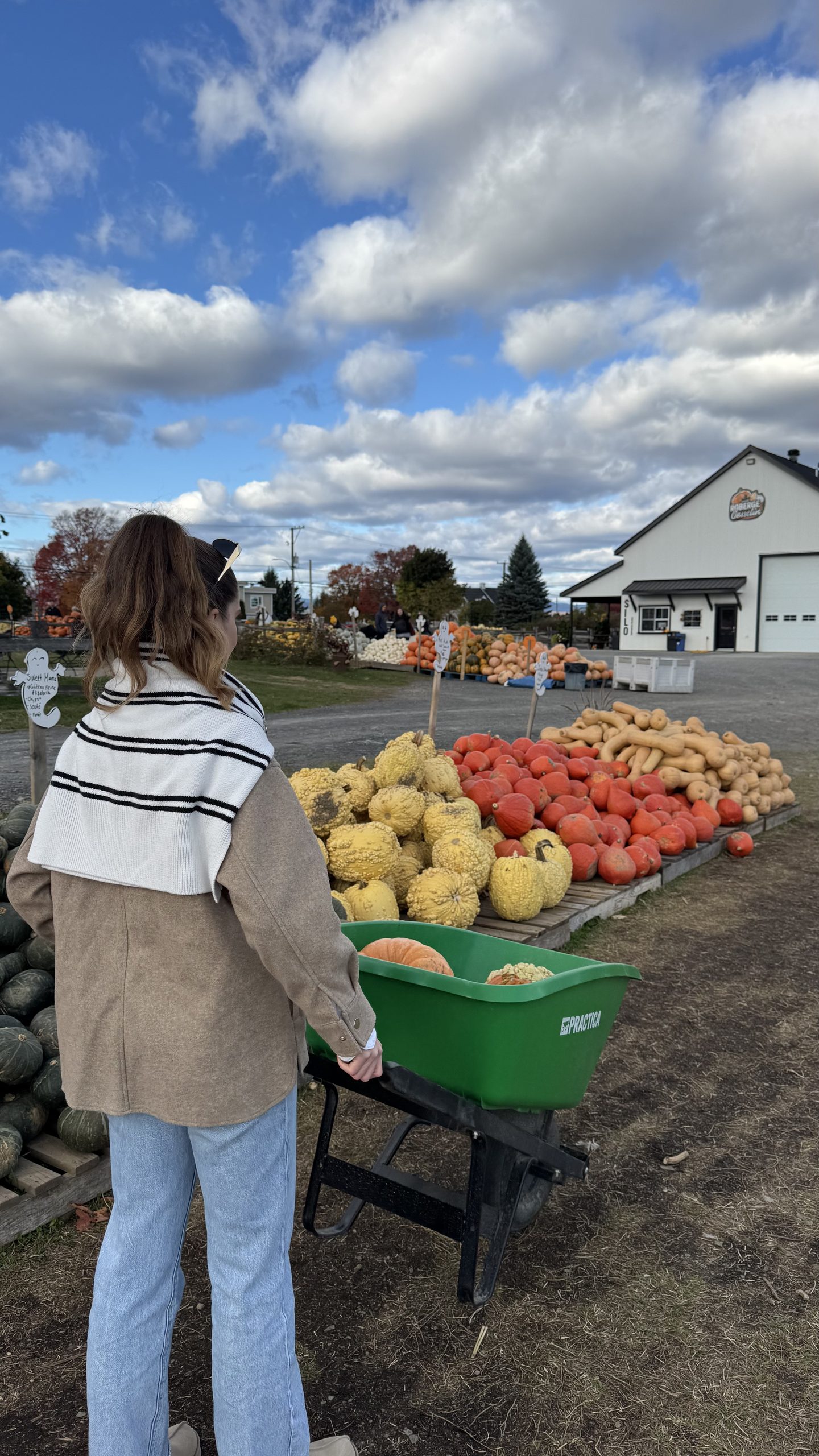 7 endroits où faire l’autocueillette de citrouilles cet automne